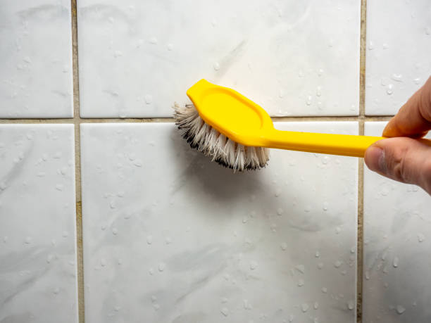 Best Mold Testing and Removal  in Carbon Cliff, IL