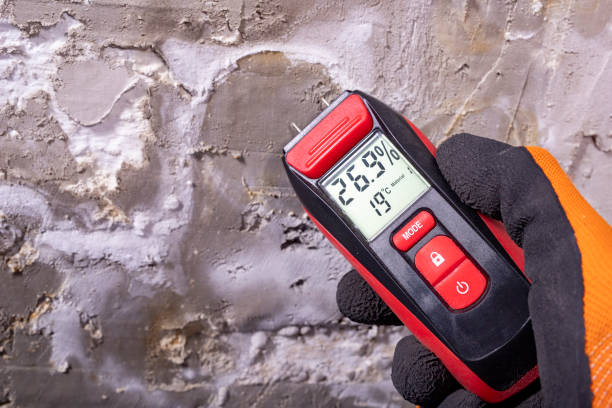 Best Commercial Mold Removal  in Carbon Cliff, IL