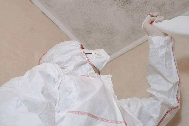 Best Crawl Space Mold Removal  in Carbon Cliff, IL